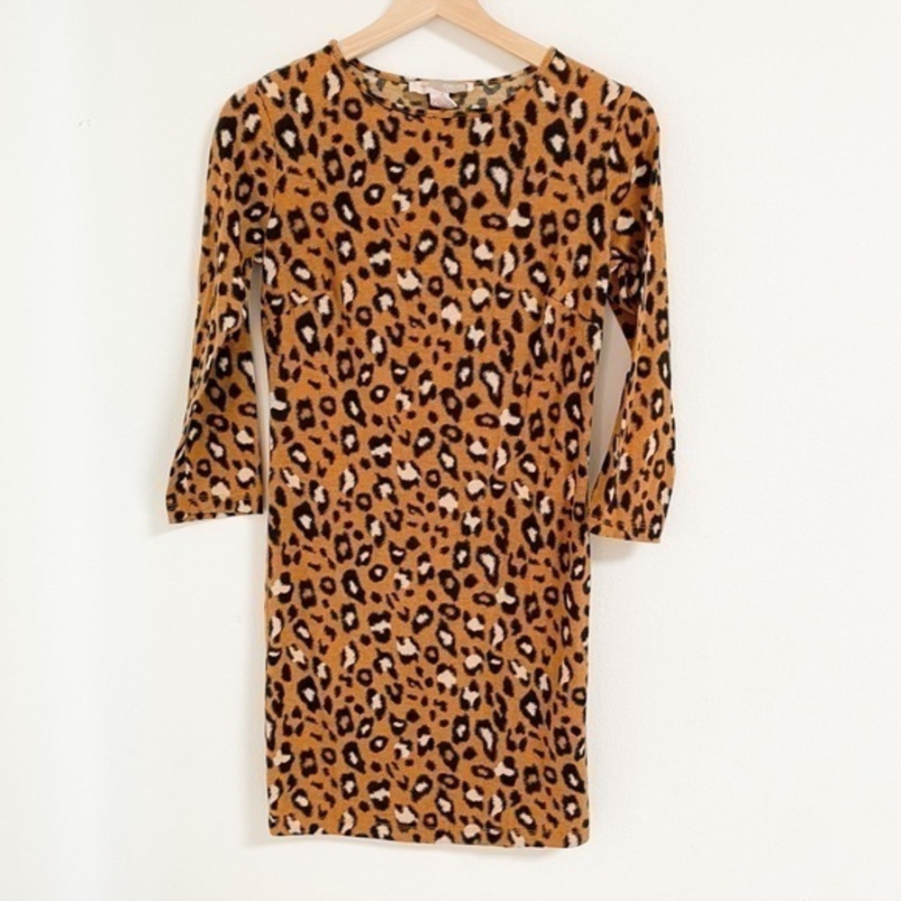 Leopard long sleeves round neck mini dress
